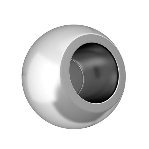 股骨头